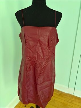 wild fable Burgundy Faux Leather Mini Dress